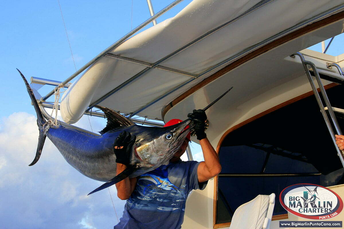 Deep Sea Private FISHING CHARTERs | Deep sea fishing charters Punta Cana