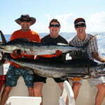 fishing charter Punta Cana marlin blue and white