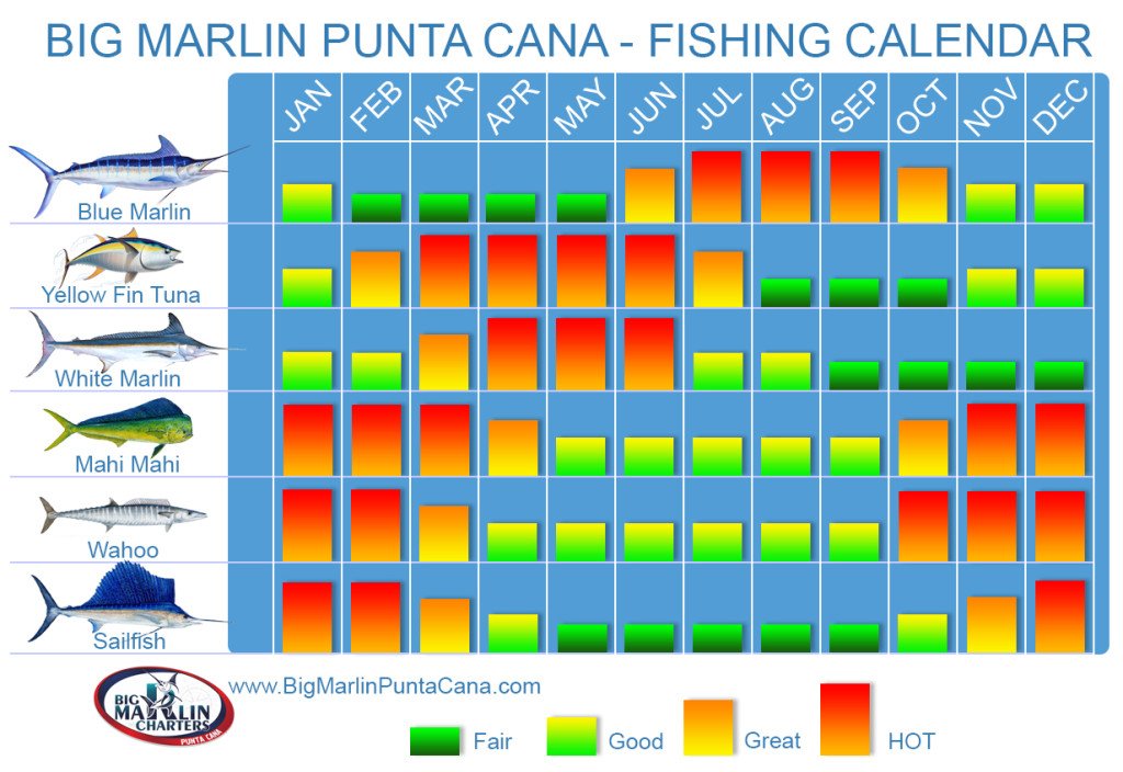 Fihing Calendar for fishing charters seasons Dominican Republic Punta Cana