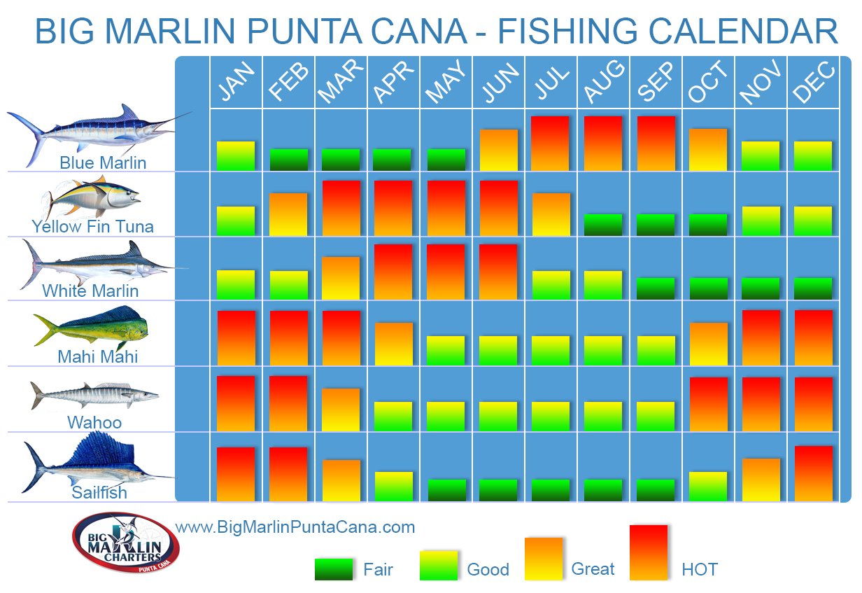 Florida Gulf Fishing Seasons Chart