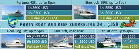 price fishing charters boat spearfishing, bottom inshore fishing 2022y.